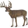 Colleziona una figura realistica di cervo dalla coda bianca, replica di animali,