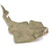 Figura da collezione da collezioneA Action Figure di Angel Shark, età media da 3
