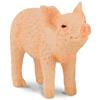 CollectUna figura di maialino replica animale realistica da collezione piccola d