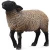 Colleziona una figura realistica di pecora Suffolk con replica animale, età medi