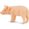 CollectUna figura di maialino replica animale realistica da collezione piccola d