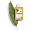 Klorane - Pierre Fabre Klorane Shampoo al Mango Nutriente Elasticizzante - 200ml