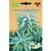 Germisem Biologico Salvia Officinalis Semi di Salvia 1 g