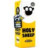 ATM Gaming Holy Sheep - Gioco da Tavolo per Famiglie e Amici - Indovina le Stesse Risposte dei Tuoi Compagni di Squadra! - Gioco Divertente e Veloce - Da 3 a 9 Giocatori - Italiano