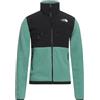 THE NORTH FACE - Felpa