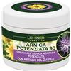 Luminer Arnica per Cavalli Uso Umano 500ml Potenziata, Crema Arnica Forte e Artiglio del Diavolo per Massaggi ad Articolazioni e Muscoli, Formula Naturale ad Azione Rapida Made In Italy LUMINER