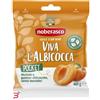 NOBERASCO SPA VIVA L'ALBICOCCA POCKET 40 G