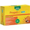 Esi - Propolaid flu 10 bustine