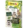 GIMBORN DROPS CON ERBE DI CAMPO GIMBI 50 g