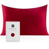 RUIPTSKE Federa per cuscino al 100% in seta da 22 momme, certificata Oeko-Tex®, benefica per i capelli e per la pelle, anti età e antiacaro, da 40 x 60 cm (rosso)
