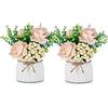 BLOSMON Fiori Finti Decorazioni con Vaso 2 Pcs Champagne Fiori Artificiali Piccoli Rose con Vasi per Centrotavola Piante Finte da Interno Bouquet Fiore Soprammobili per Casa, Cucina, Festa Addobbi