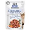 BRIT Care Fillets in Jelly Sterilized Duck&Turkey 85 g