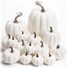 DomeStar 16 zucche bianche artificiali, dimensioni assortite, finte e rustiche, per Halloween, Ringraziamento, autunno, stagione autunnale