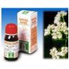 SPECCHIASOL SRL VALERIANA 36 TM 50ML