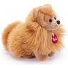 TRUDI Peluche Trudi Pomerania Biscuit - Peluche Taglia S