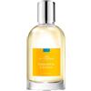 Comptoir Sud Pacifique Immortel Cèdrat 100ml