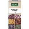 SOLIME' Srl Solimè Achillea Millefoglie Sommità Tintura 100g