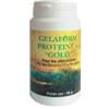 BIO-GESTION SA BIO-GESTION GELAFORM PROTEINE + GOLD 100 CAPSULE