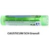 Boiron Causticum Boi 5ch 80gr 4g