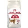 ROYAL CANIN 2 kg Royal Canin Fit 32 Alimento Completo Cibo Secco Crocchette Croccantini per Gatti Adulti di Oltre 1 Anno di Età con Attività Moderata Gusto Pollo