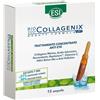 Esi Biocollagenix 15 ampolle - ESI - 950266041
