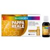 MARCO VITI FARMACEUTICI SPA Massigen Pappa Reale 10 Flaconi Da 25 Ml