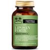 salugea LIPOSAN FORTE NF SALUGEA 60CPS