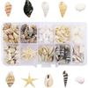Hyxodjy 220 Pezzi Conchiglie Miste, Natura Conchiglie Decorative Conchiglies da Spiaggia Misti Oceano Conchiglies per la Casa, Matrimoni, Beach Tema Party Decorazioni