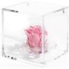 DC DEBORA CARLUCCI Debora Carlucci Rosa Stabilizzata Vera con 4 Petali in Cristallo Eterna in Cubo Idea Regalo Donna Compleanno Anniversario Matrimonio Festa della Mamma Bomboniera Blu-Bianco-Rosa-Rossa (Rosa)