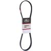 GATES 6PK1605 Cinghia servizi nero