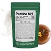 SaporePuro - Pectina NH 100 g per Nappage, Glasse e Gelatine | Alta Versatilità | Solubile in Acqua | Gluten Free