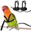 CQJ 2 pz Pet Parrot Bird Harness and Guinzaglio, Design di addestramento regolabile Anti-morso, Outdoor Flying Training Rope Kit per uccelli pappagalli Adatto a uccelli petto tra 24 - 51 cm /9,5-20