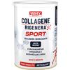 BIOVITA Whysport Collagene Rigenera Sport