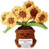 Lyreh Girasole Positivo Uncinetto, 11cm Fatto a Mano Bambola di Supporto Emozionale a Forma di Pianta con Biglietto Incoraggiamento Filato Lana Regalo positivo per Amici Famiglia