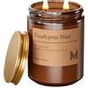 M&SENSE Candela Profumata Grandi 550g Eucalipto Menta, 110H Dura, Naturali Non Tossico Aromaterapia, Vintage Candele Bomboniere, Autunnali Regalo per Donna/Compleanni/Natale