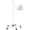 MEHOOSPVN Lampada con lente di ingrandimento a LED, con piedistallo, lampada da lavoro, 5 lenti diottrie, treppiedi, 125 mm, 5 diottrie, livelli di luminosità regolabili per studio medico, salone di
