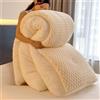 SXZAGZR Piumino in Lana d'Agnello, Trapunta Invernale in Pile di Cashmere, Trapunta in Peluche Calda E Addensata, Coperta Matrimoniale Queen Size Singola Doppia Cashmere (Bianco,200x230cm3.5kg)