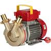 Rover Pompe Rover BE-M 30 - Pompa elettrica da travaso in bronzo - Monofase - 230V