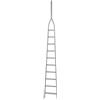 AgriEuro Premium Scala agricola da potatura in alluminio S8000 10/1, 10 gradini, 4 m - Altezza stimata operativa 5 m
