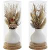 Redesyn DECORACION FLOR SECA CRISTAL 8,5X8,5X20 2 SURT.