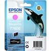 Epson Cartuccia Epson vivid light magenta T 7606 [C13T76064010]