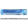 Boiron Calcarea Phos Boi 9ch 80gr