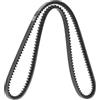 DAYCO 13A1180C Cinghia Trap.Cherokee-SSANG YONG-Toyota | Compatibile con: SAAB 900 I, 900 I Cabriolet, 900 I Combi Coupe, SUZUKI GRAND VITARA I, VITARA, TOYOTA LAND CRUISER