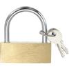 PATIKIL Lucchetti in Ottone Massiccio 2.2, 1 pz a Chiave Differente Lucchetto a Lungo Arco con 2 Chiavi Impermeabile per Armadietto Palestra Cancello Recinto Esterno Interno