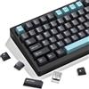 dagaladoo Set di keycap Double Shot, copritasti personalizzati in PBT, set completo da 189 tasti, con profilo ISA per 60% 65% 70% 100% MX switch (grigio/blu scuro, solo tastiere)