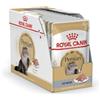 ROYAL CANIN Adult Persian 12 x 85GR Pagno-Mousse
