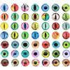 PATIKIL 16mm Dragon Eyes 100 PCS Occhi Rotondi in Vetro per Animali Occhi per Uncinetto per Creazione di Bambole in Argilla Artigianato DIY Accessori per Creazione di Gioielli Colori Misti