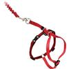 PetSafe Easy Walk, Pettorina e Guinzaglio Elastico per Gatti, Regolabile, Guinzaglio Elastico, Rosso, M