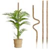 MAHIONG 3 pali di muschio da 120 cm, supporto per piante Monstera per interni ed esterni, in fibra di cocco pieghevole marrone, per piante rampicanti in vaso