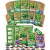 ZenGreens® - Set di Semi di Erbe Aromatiche bio (25 pezzi) - 25 Semi di Erbe Aromatiche per Coltivazione Facile in Giardino, Balcone o Serra - Semi da Piantare - Sementi